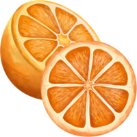 fruta naranja png