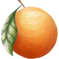 Fruta Laranja PNG