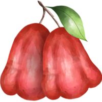 manzana rosa png