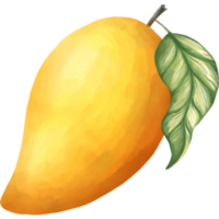 mango and lef png