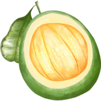 Pomelo PNG