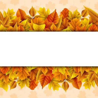 Autumn leaves background