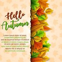 Autumn leaves background vector