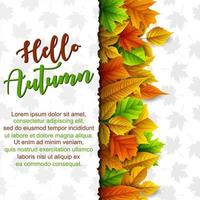 Autumn leaves background vector