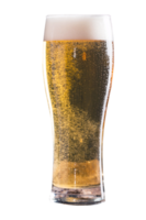 vaso de cerveza aislado