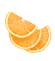 fatia de laranja isolada png