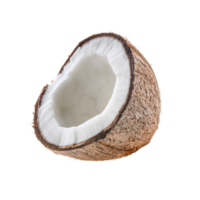 brown coconut isolated png