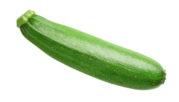 abobrinha verde isolada png