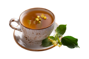 cup of tea with mint png