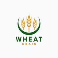 Agriculture wheat grain vector icon design