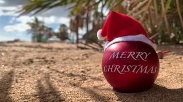 Frohe Weihnachten vom Paradies, exotische Insel. weihnachtsbombe in santa's hat am sandstrand mit palmen und blauem himmel im hintergrund mit wolken. Hawaii, Kanarische Inseln, Bali, Thailand. video