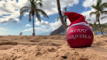 weihnachtsbombe in santa's hat am strand auf dem sand liegend mit palmen und blauem himmel im hintergrund. Frohe Weihnachten vom Paradies, exotische Insel. hawaii, kanarische inseln, bali.