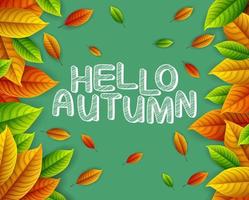 Autumn leaves background vector