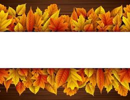 Autumn leaves background vector