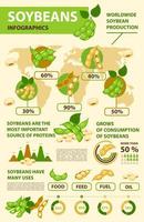 Soy and soybean infographics, beans production vector