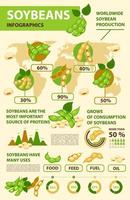 Soy and soybean infographics, beans production vector