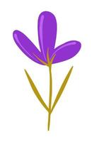 Vector illustration of Purple wild flower drawn in a flat style.