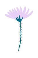 Vector illustration of a lilac field dandelion flower drawn in a flat style.