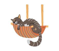 Cute srtiped cat napping in hammock flat vector illustration. Isolated on white.