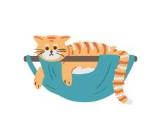 Cute striped cat relaxing in hammock flat vector illustration. Isolated on white.