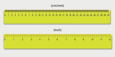 rulers, marked in centimeters and inches vector