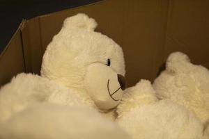 Teddy bear in box. Children's toy. photo