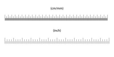 ruler size indicators vector