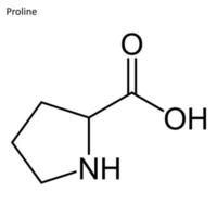 fórmula esquelética de prolina vector