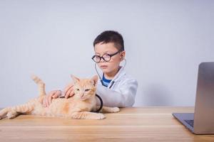 médico masculino asiático examinando un gato foto