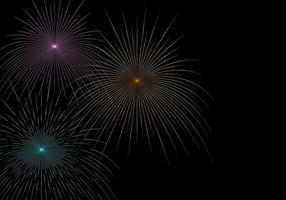 Colorful fireworks shapes are isolated on a black sky background. vector