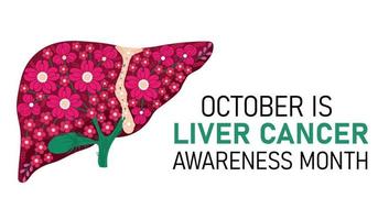 octubre es el mes del cáncer de hígado vector