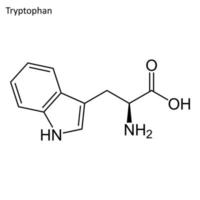 Skeletal formula of Pryptophan vector