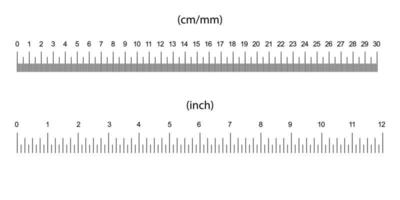 ruler size indicators vector