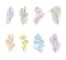 Set of vector images of flowers and plants