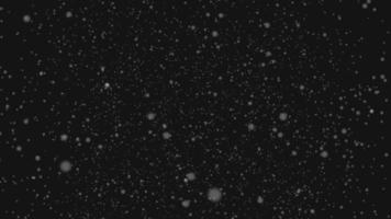 snö falla bakgrund 4k video