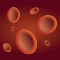 las células rojas de la sangre . vector