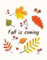 autumn is coming postcard banner inscription on an autumn fall theme with leaves of different colors with rowan and acorns. vector flat illustration