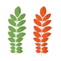 Acacia leaf. Spring green and autumn orange. Isolated vector illustration on white background