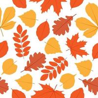 Seamless pattern of autumn leaves. Background for nature, eco and autumn design vector