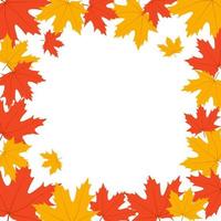 Frame with fall maple leaves on white background. Fall background. Vector illustration