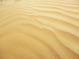 Waves of sand texture. Dunes of the desert. Desert dunes sunset landscape. photo