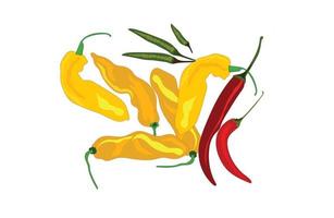 Chili peppers vector illustration on white background
