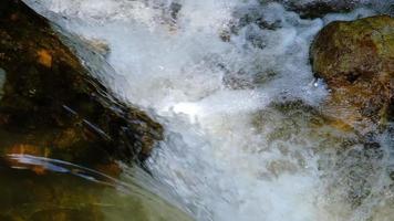 Flowing water stream slow motion footage in a tropical rainforest in Thailand. video