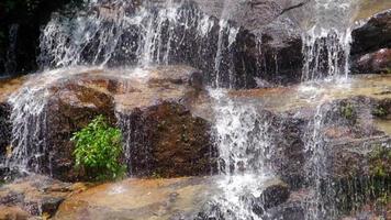 cascata lento movimento filmato, fluente acqua ruscello nel un' tropicale foresta pluviale nel Tailandia. video