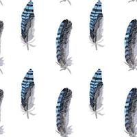 Pattern with blue feathers on a white background. vector