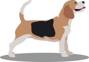 lindo y genial cachorro beagle. ilustración vectorial del comportamiento de las mascotas. perro plano se encuentra en toda su longitud aislado sobre fondo blanco. vector