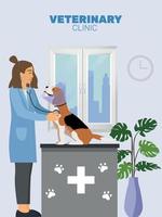 veterinario y médico con perro en el mostrador de la clínica veterinaria. caricatura plana de ilustración vectorial. médico de la clínica veterinaria examinando, vacunando y cuidando la salud de los perros. perro feliz saludable. beagle vector