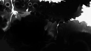 abstract inkt geklater overgang in zwart en wit naadloos lus. turbulent schilderij vlek verspreiden van de centrum in deze hedendaags onthullen 3d animatie. 4k achtergrond, vfx overlappen. video