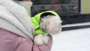 Frau kuschelt kleinen weißen Hund draußen im Schnee, beide tragen Puffmäntel video