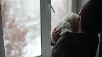 mujer abraza a un pequeño perro blanco adentro mirando por una ventana a la nieve que cae video